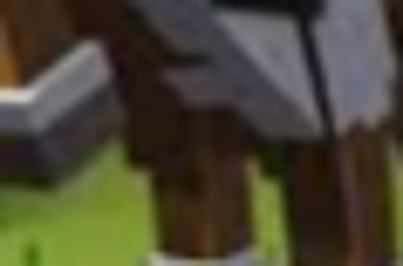 yes steve model